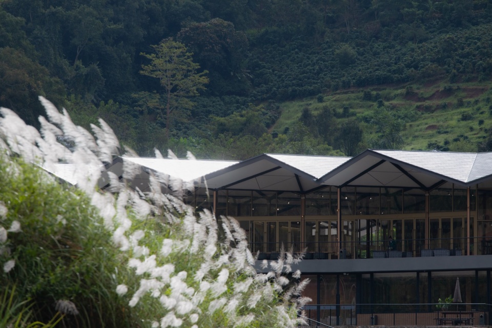 Pu er Beautiful Star Village Coffee Center