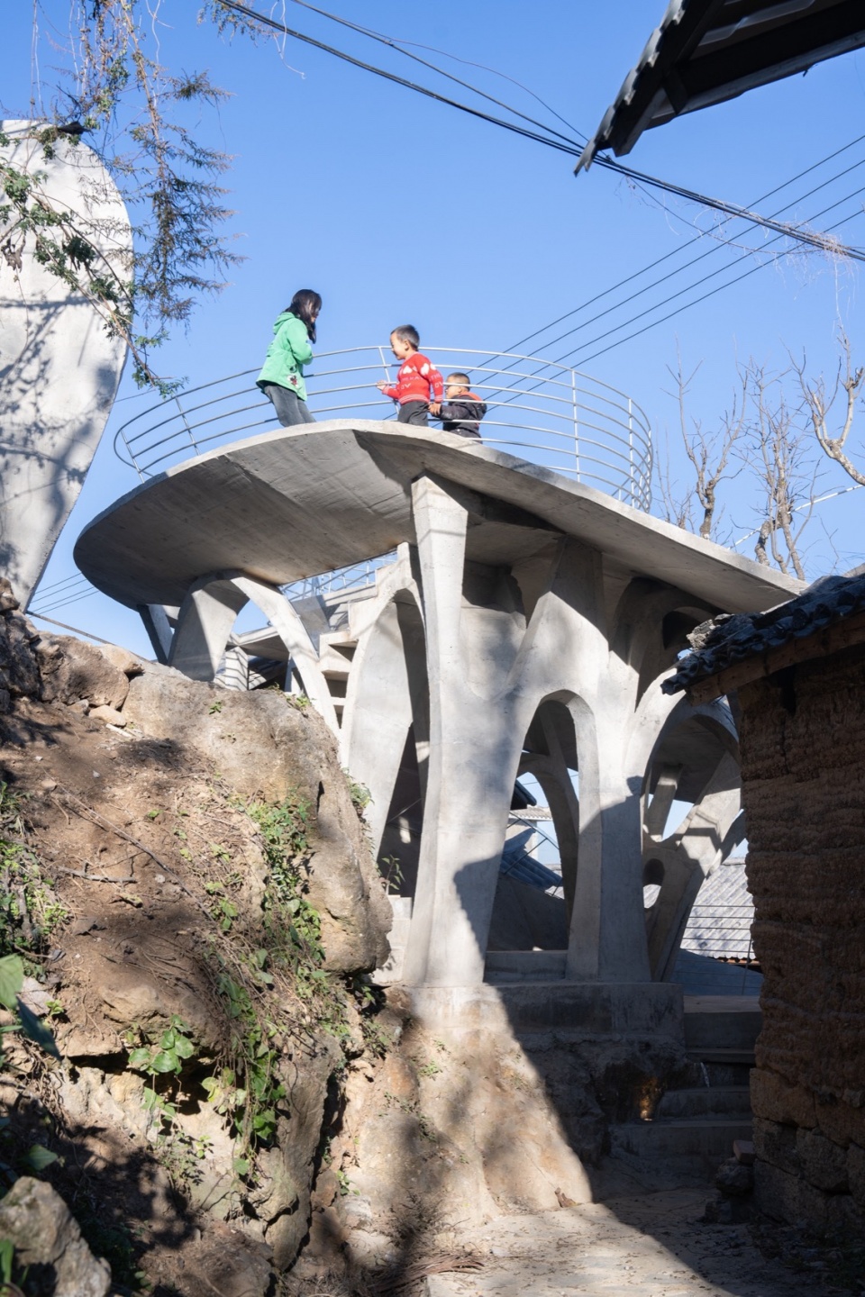 Mushroom library for Children in Yunnan