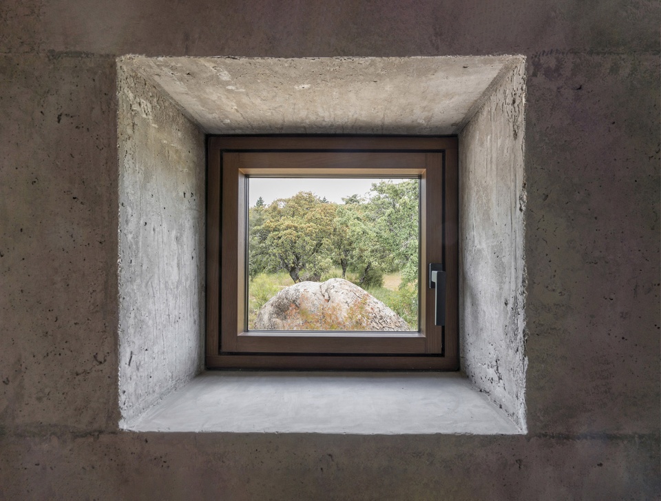 house x by bojaus arquitectura