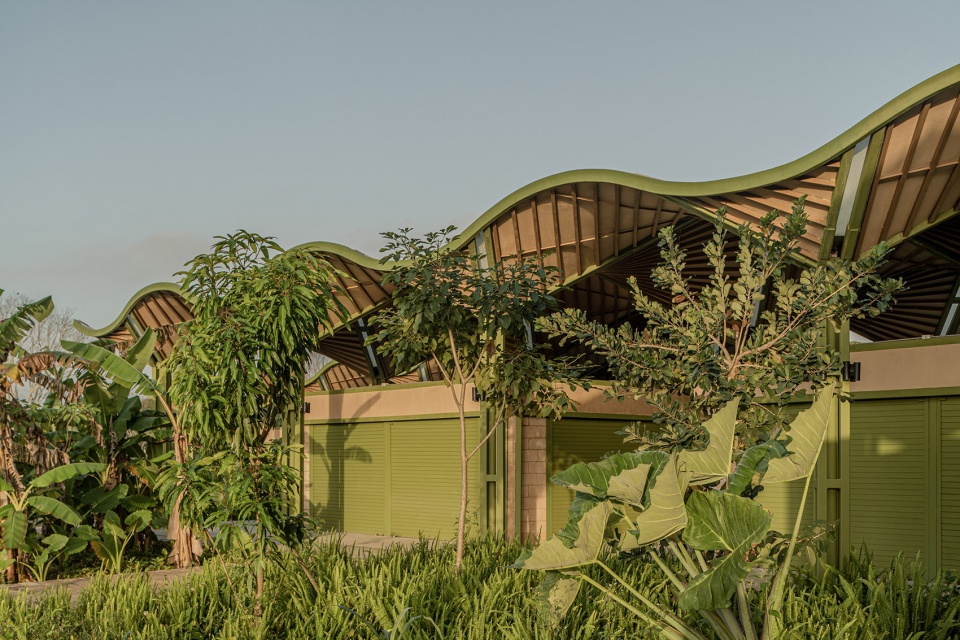 mercado nicolas bravo by aidia studio