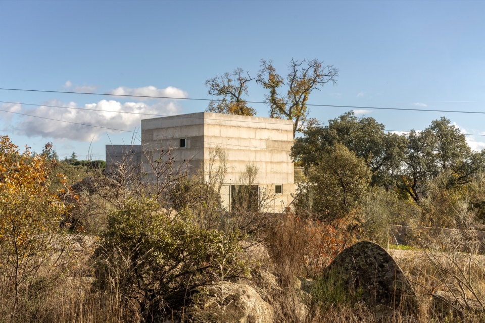 house x by bojaus arquitectura