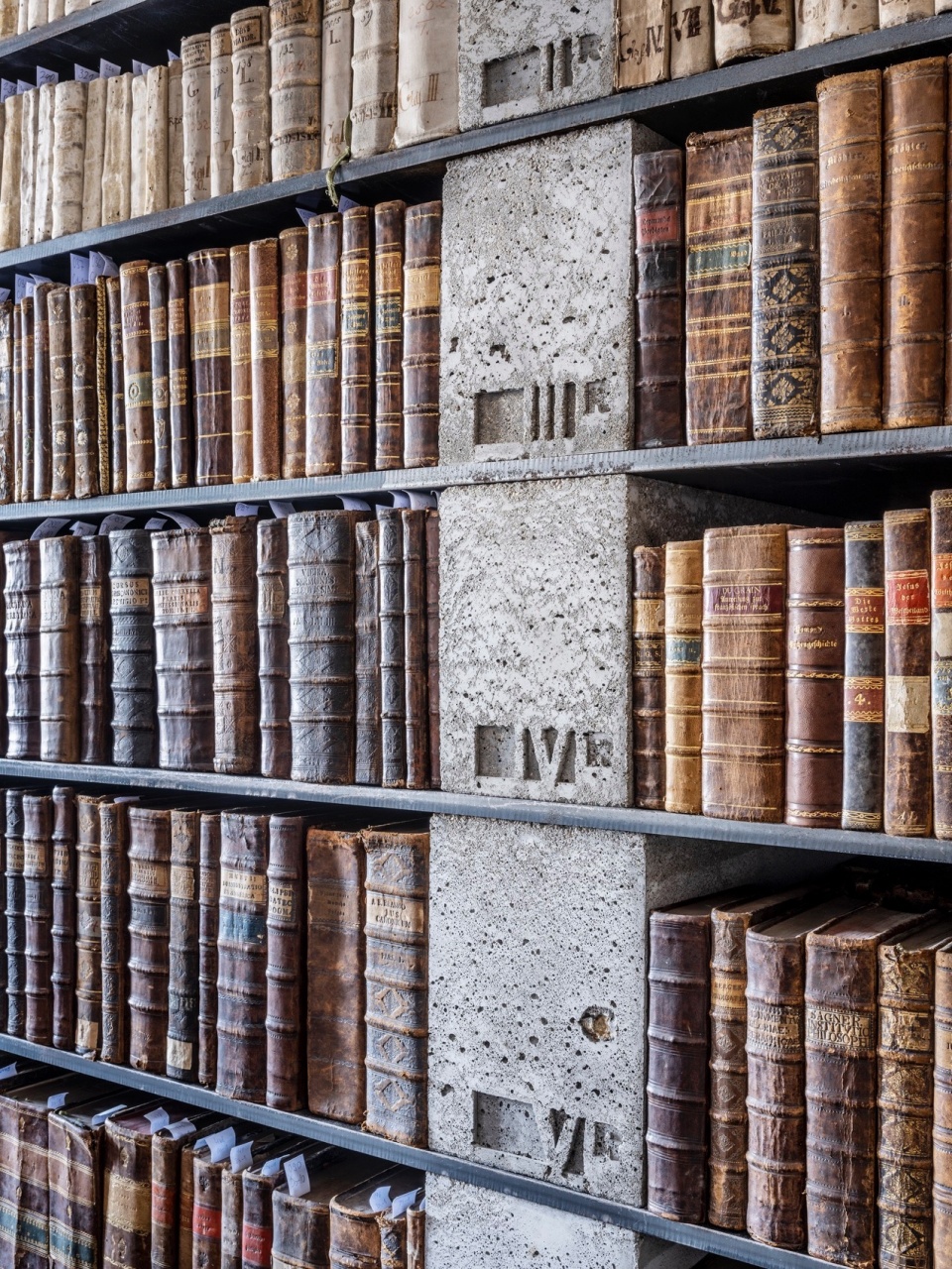 Library in the monastery zeliv by sepka architekti