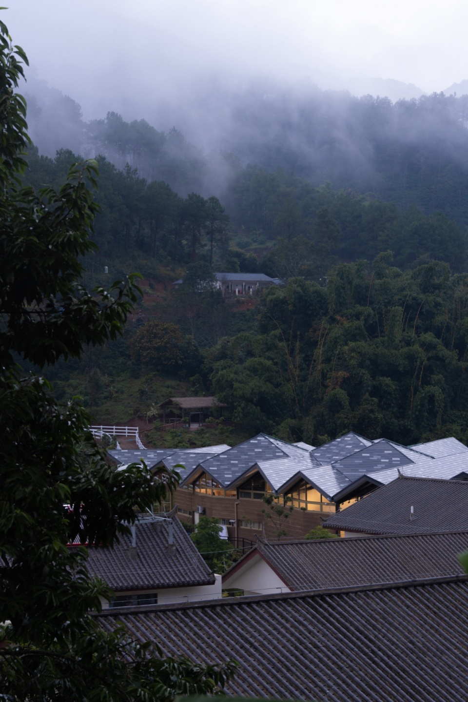 Pu er Beautiful Star Village Coffee Center