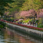 2024 IFLA AAPME能源与低碳减排类荣誉奖：深圳后海中心河公园 / HOPE翰博设计