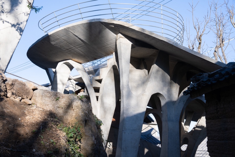 Mushroom library for Children in Yunnan