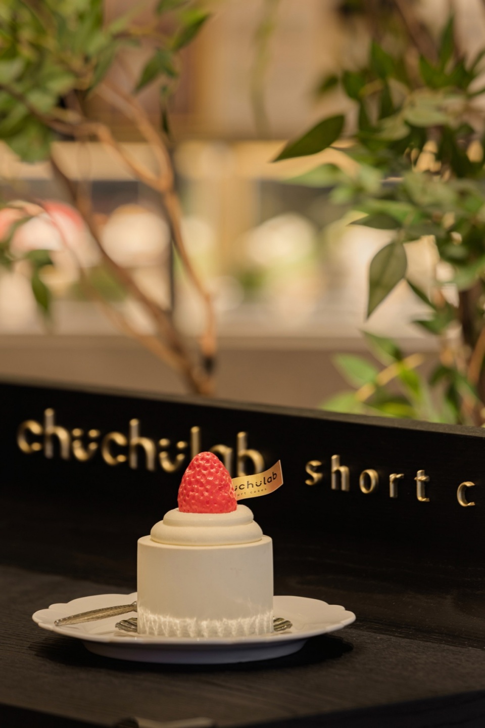 chuchulab short cakes