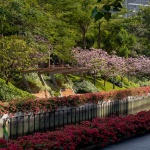 2024 IFLA AAPME能源与低碳减排类荣誉奖：深圳后海中心河公园 / HOPE翰博设计