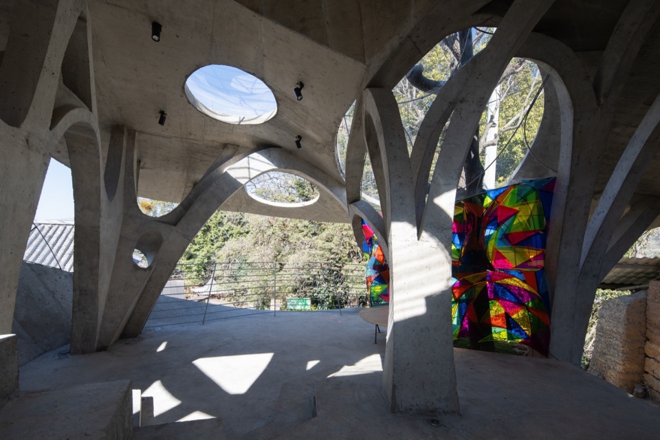 Mushroom library for Children in Yunnan