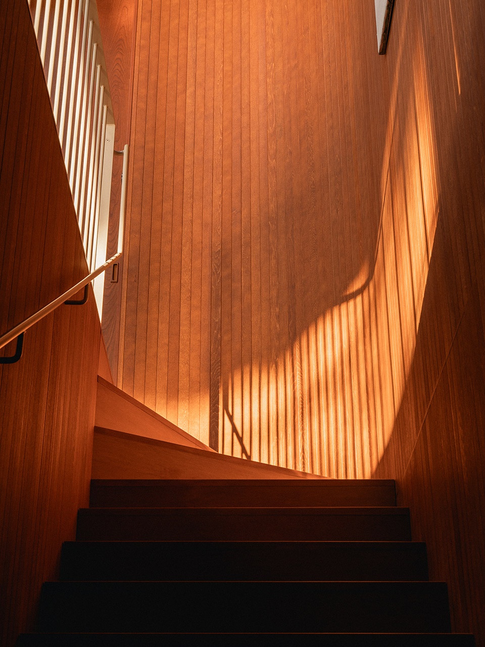 palissade by naturehumaine
