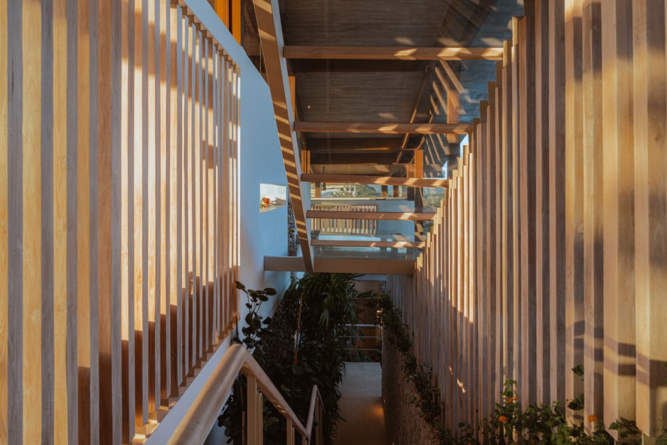 Villa aurea by Studio Saxe