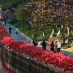 2024 IFLA AAPME能源与低碳减排类荣誉奖：深圳后海中心河公园 / HOPE翰博设计
