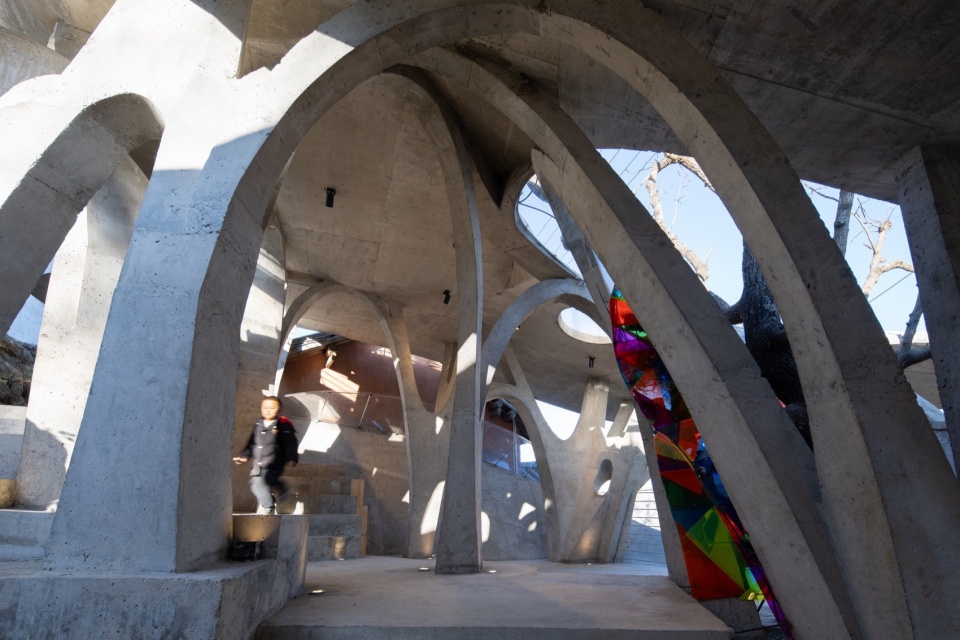 Mushroom library for Children in Yunnan
