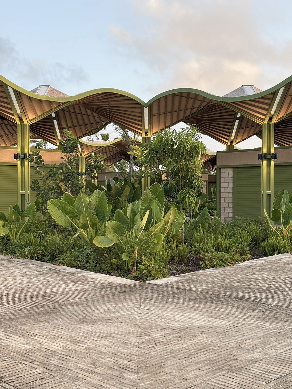 mercado nicolas bravo by aidia studio