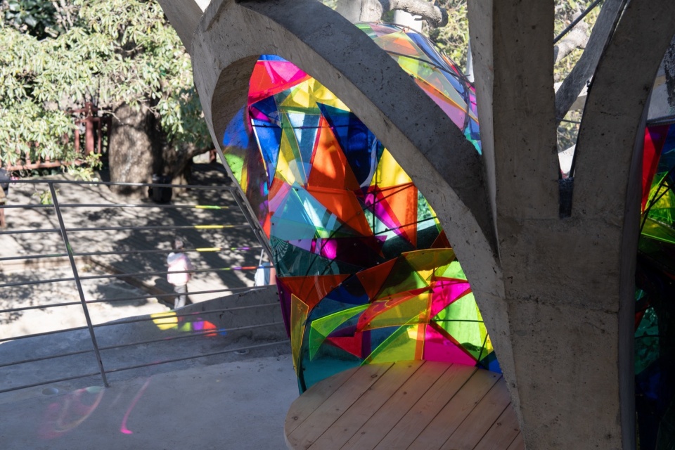 Mushroom library for Children in Yunnan