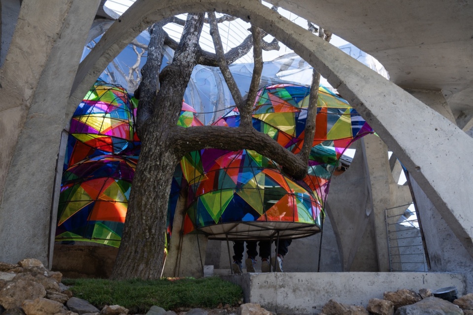 Mushroom library for Children in Yunnan
