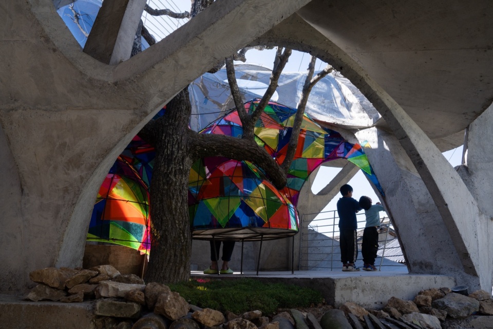 Mushroom library for Children in Yunnan
