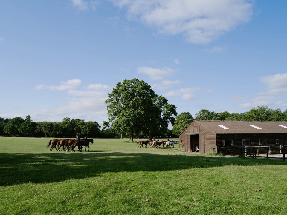 The ARC Polo farm DROO
