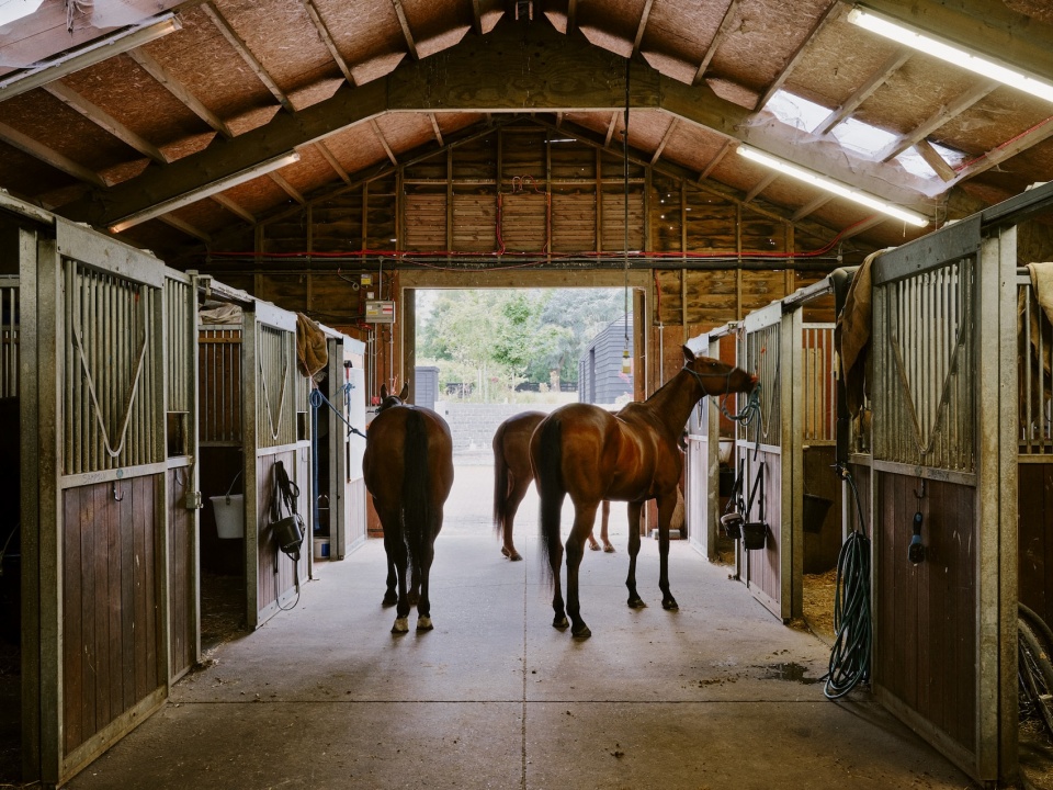 The ARC Polo farm DROO