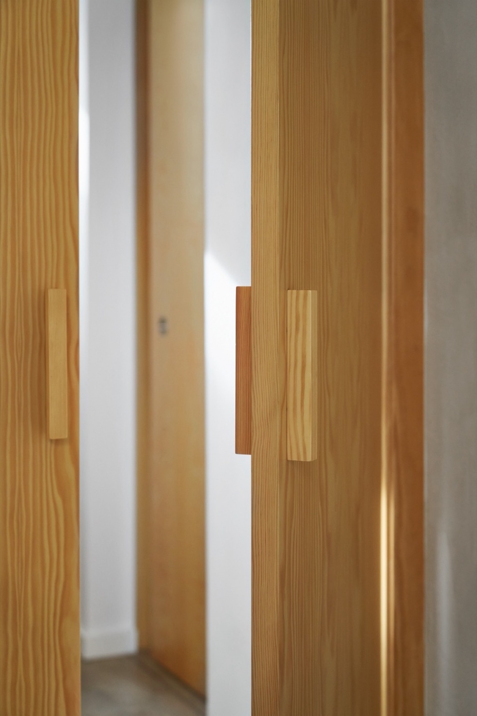 Boratuna House by Bouman Arquitectura