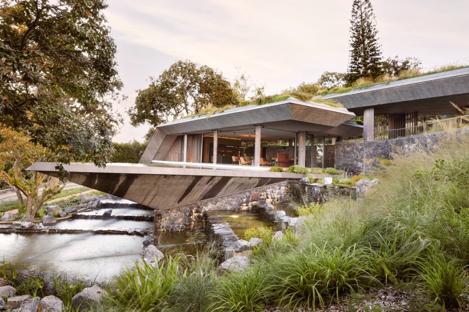 Planted Pavilion Malan Vorster Architecture Interior Design