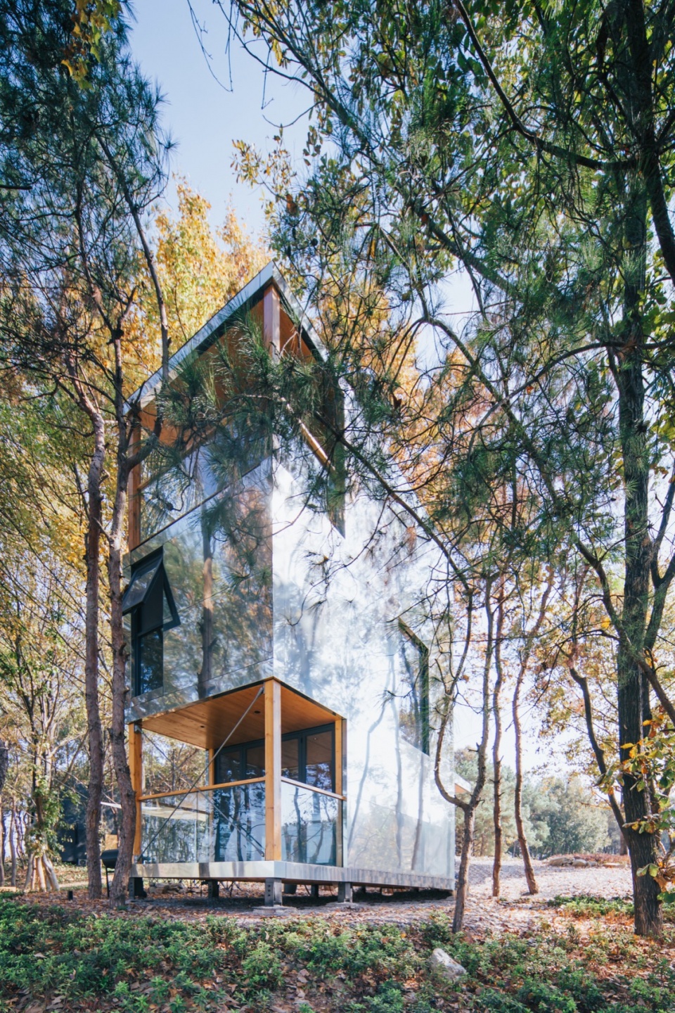 The Giraffe Cabin