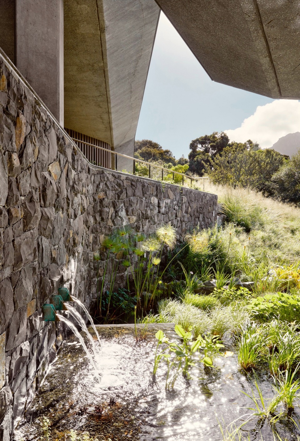 Planted Pavilion Malan Vorster Architecture Interior Design