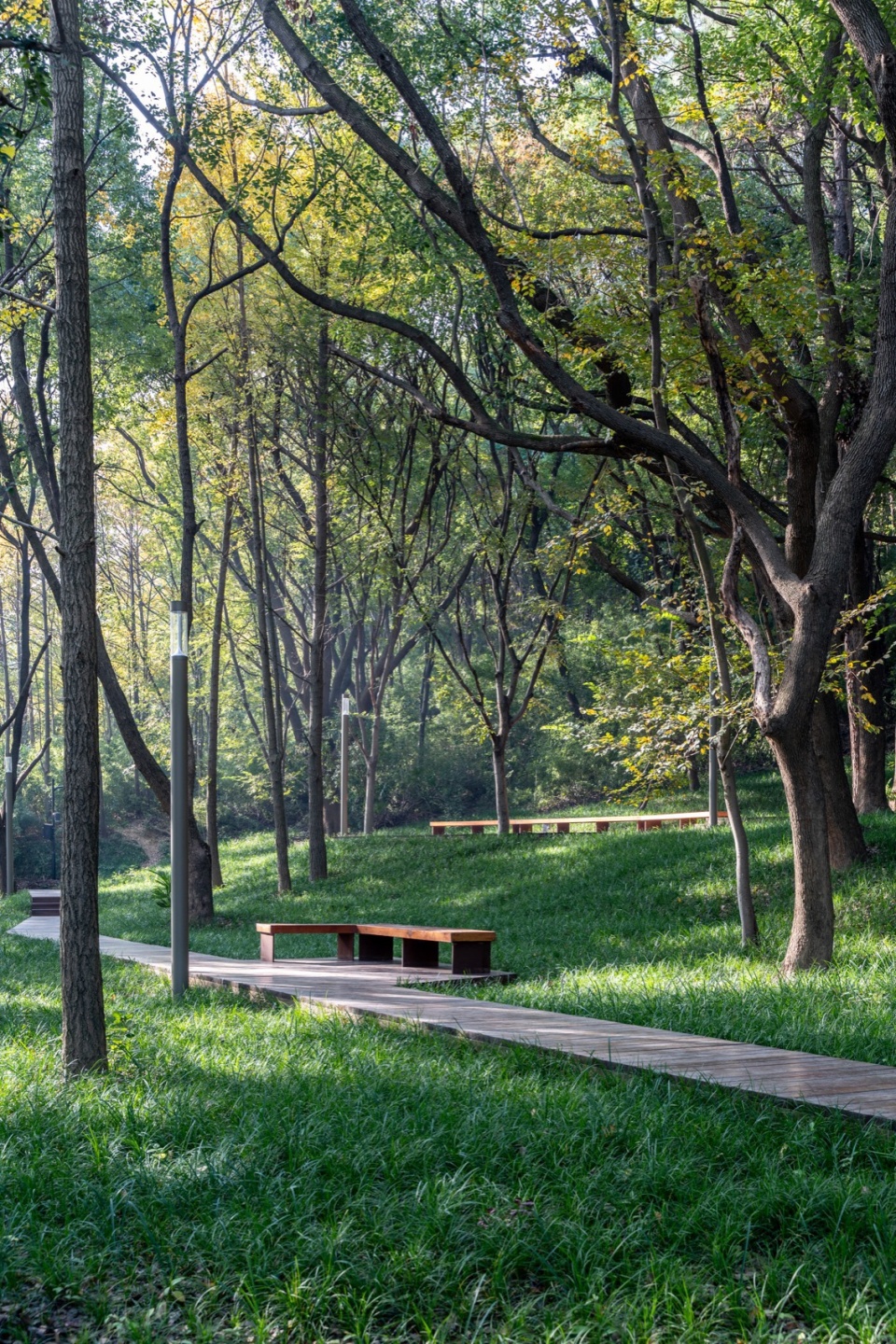 Lion Mountain Park by TLS Landscape Architecture