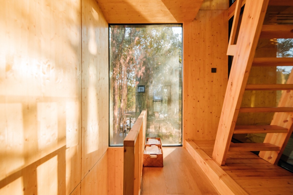 The Giraffe Cabin
