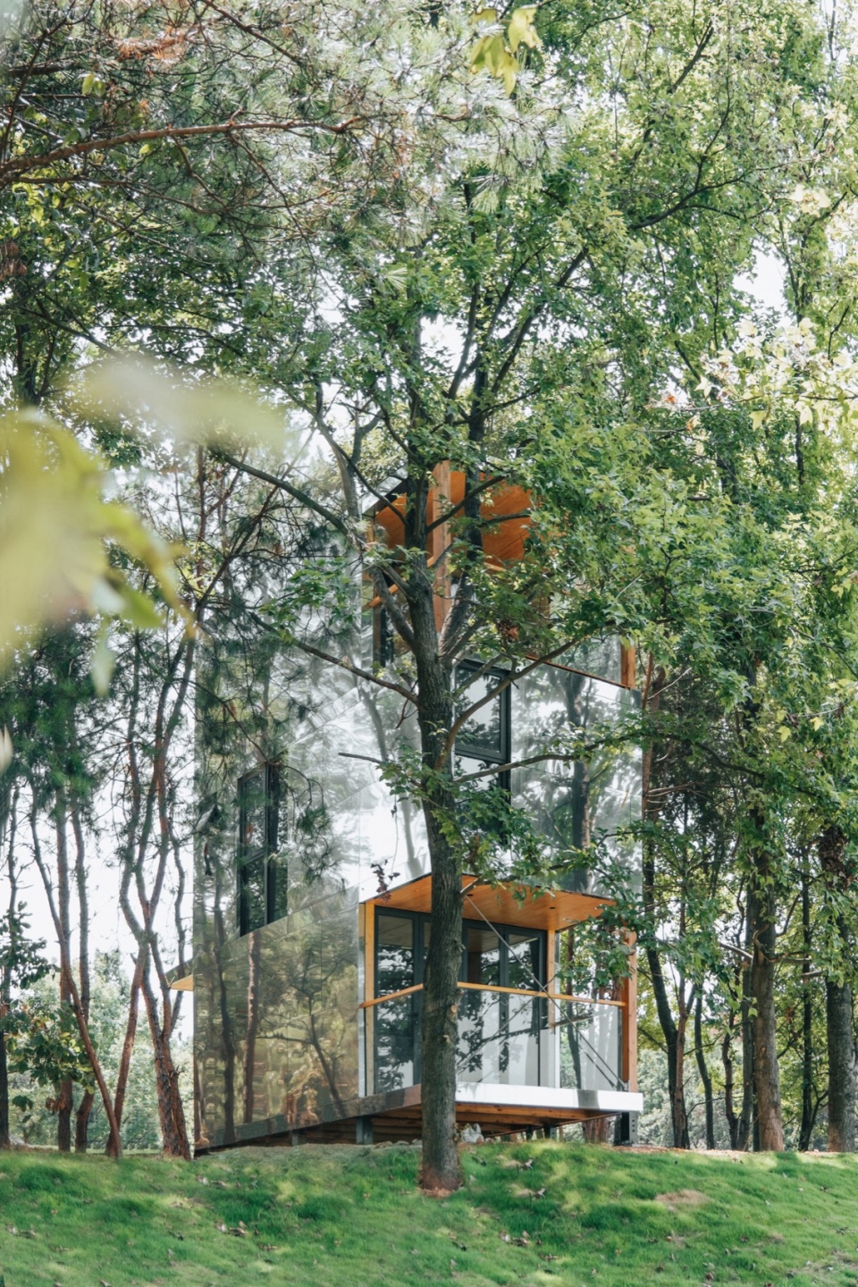 The Giraffe Cabin