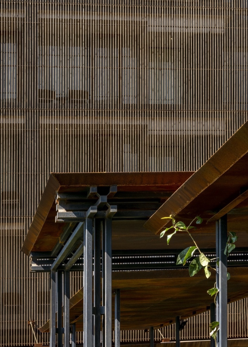 Radisson Resort Spa by Malik Architecture