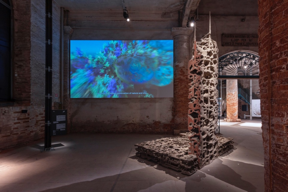 The Why Factory and artist Federico Diaz present BIOTOPIA Propagative Structures at the Venice Architecture Biennale 2025