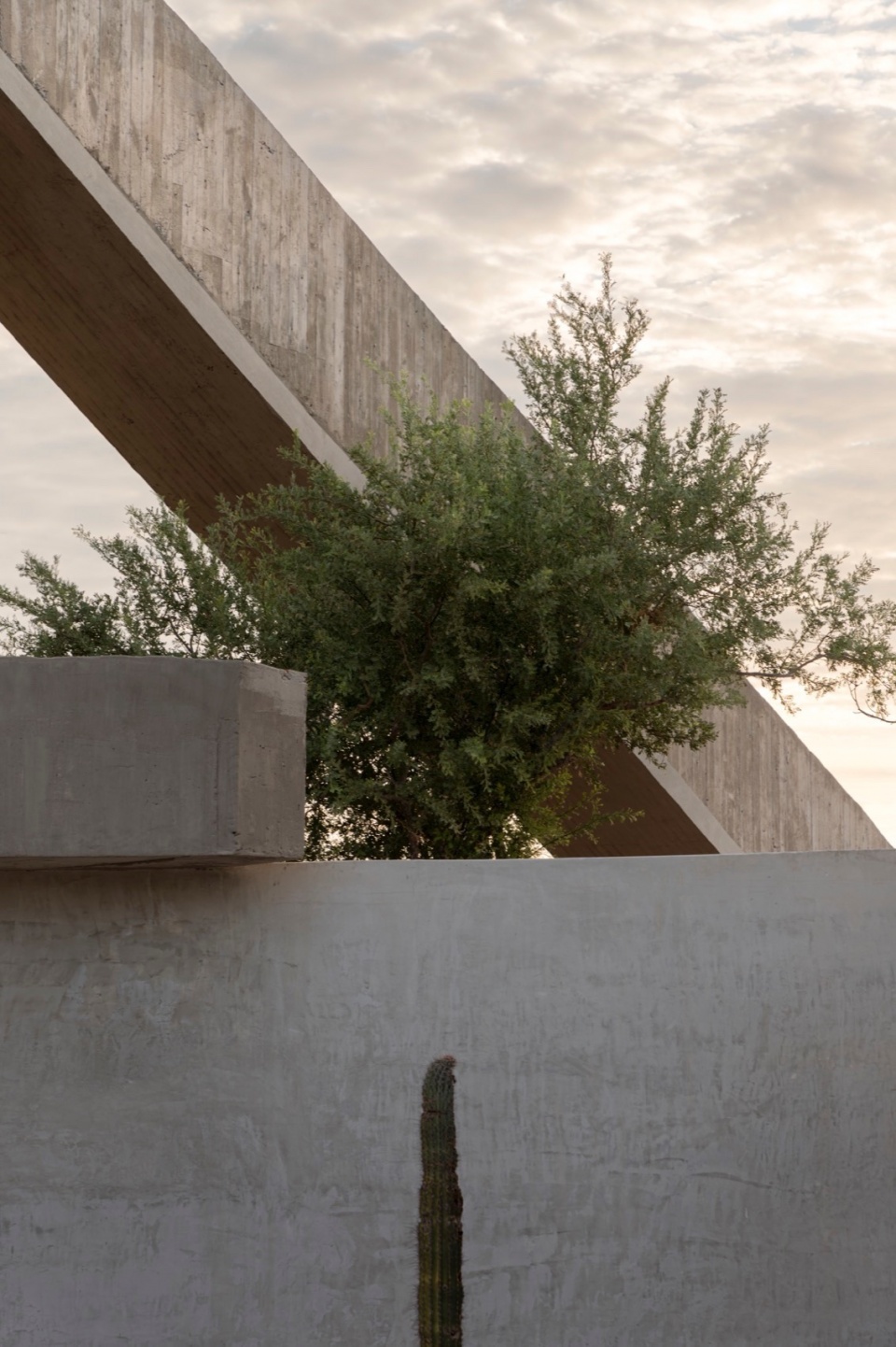 The Casa LaPaz by Ludwig Godefroy Architecture