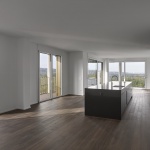 Max公寓塔楼，瑞士 / Max Dudler