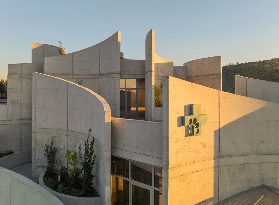 veterinary hospital by davide macullo architects