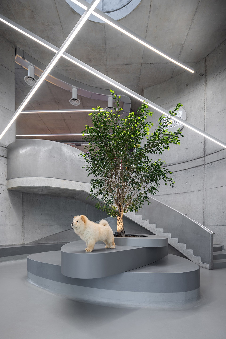 veterinary hospital by davide macullo architects