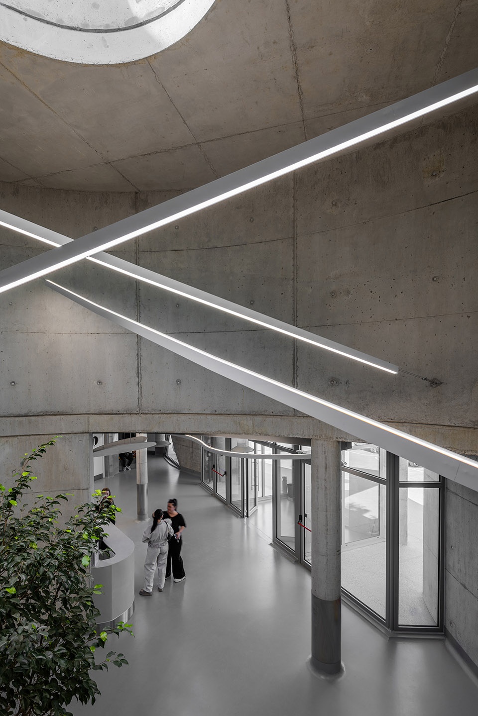 veterinary hospital by davide macullo architects