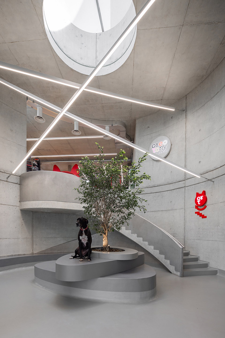 veterinary hospital by davide macullo architects