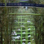 成都太古里东广场阿迪达斯清风茶馆 / line+建筑事务所朱培栋