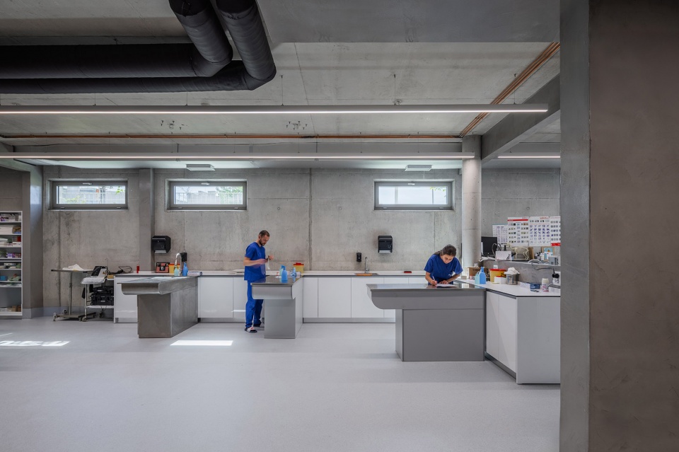 veterinary hospital by davide macullo architects