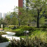 龙华设计产业园（一期）景观，深圳 / 译地事务所 + 深圳市城市交通规划设计研究中心股份有限公司