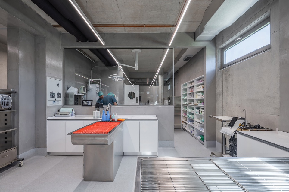 veterinary hospital by davide macullo architects