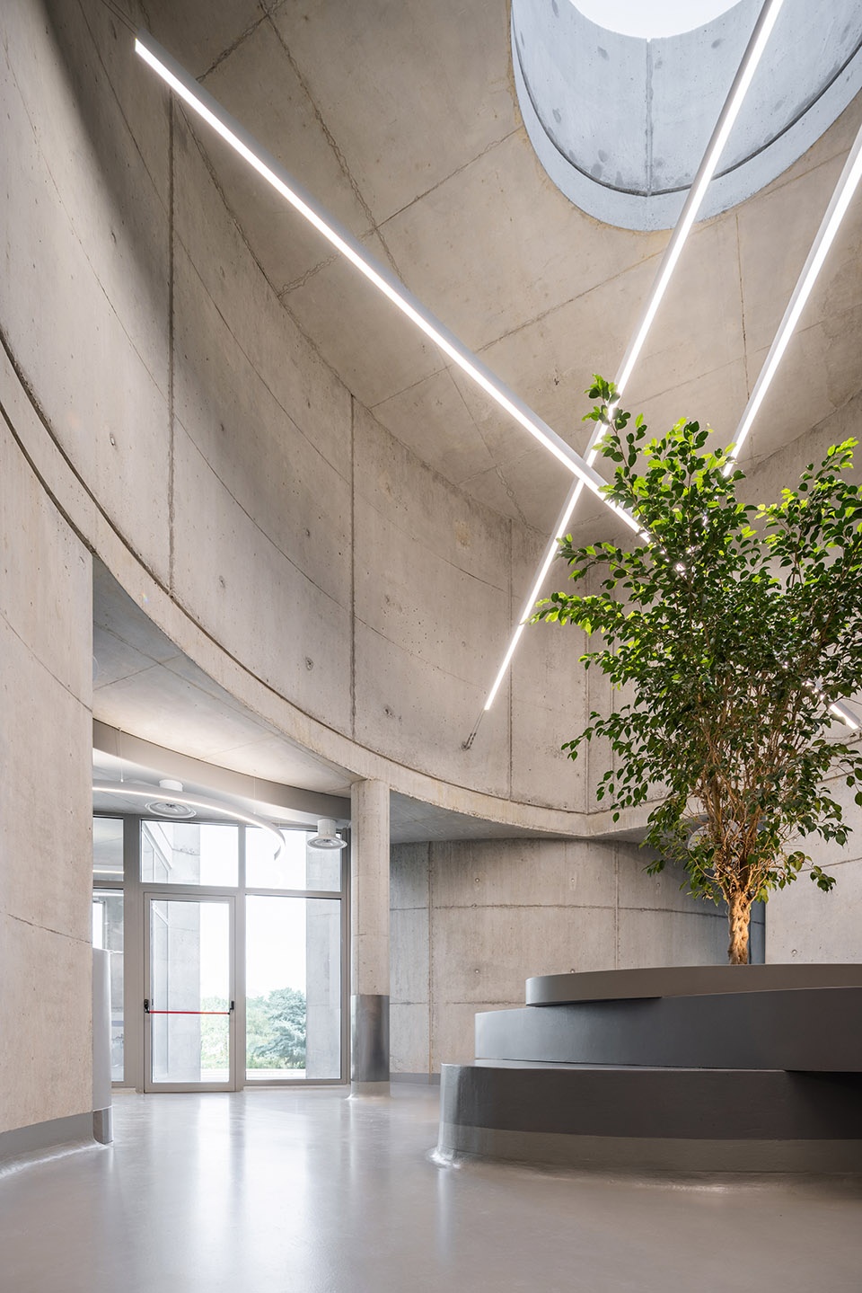 veterinary hospital by davide macullo architects