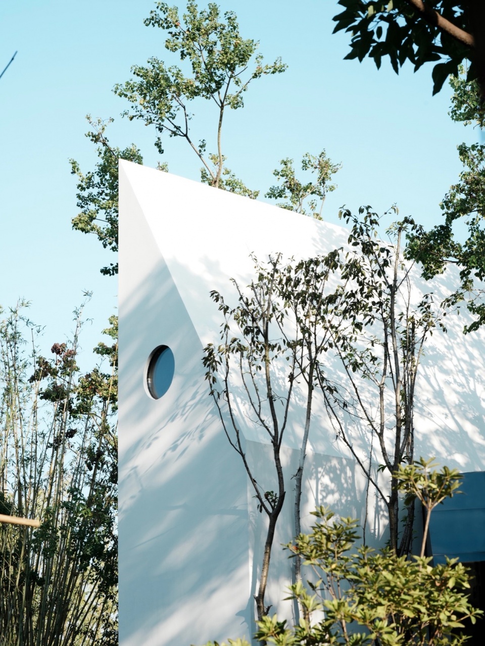 The Cabin of Sails