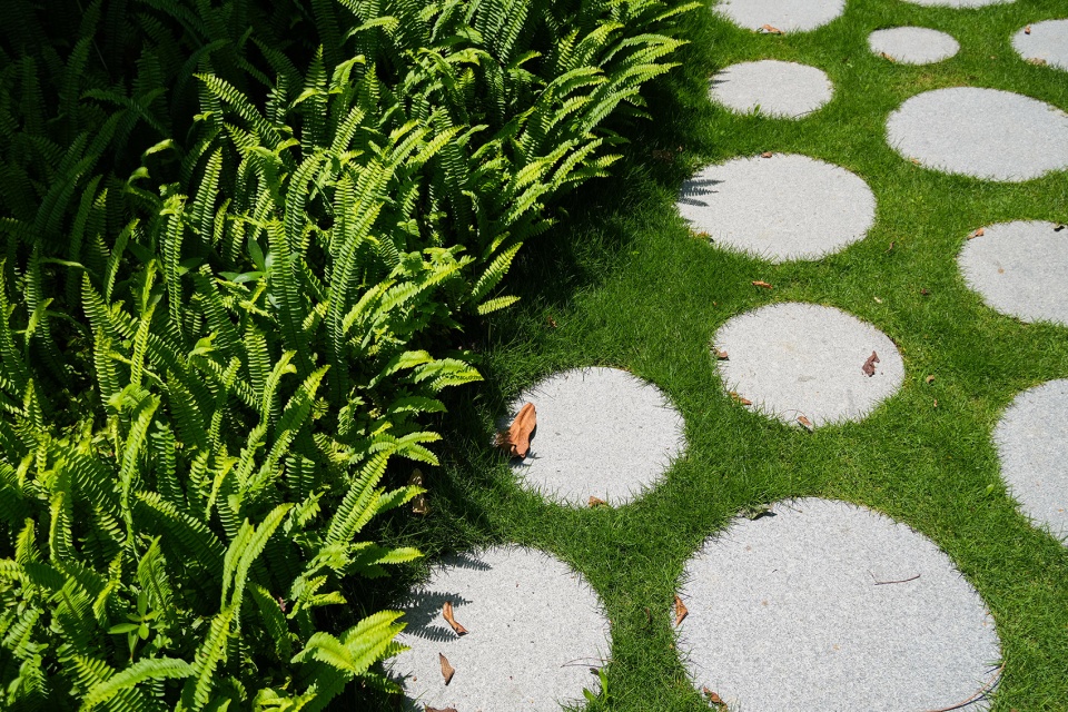 haid science park by lola landscape architects