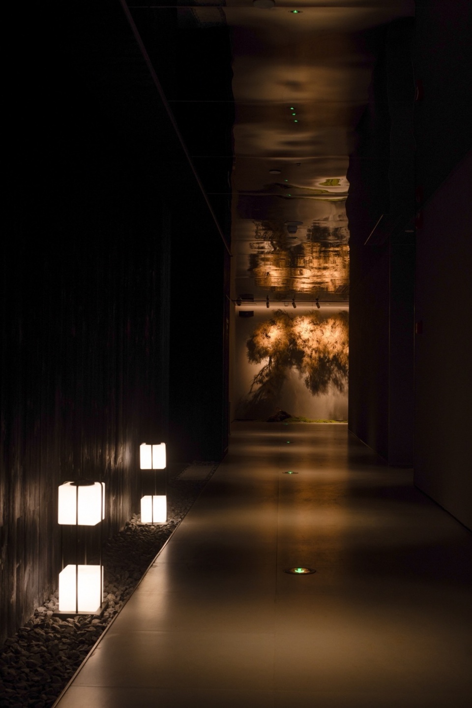 AVIVA DALI Consciousness Theatre by Reborn Design