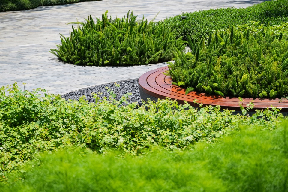 haid science park by lola landscape architects