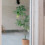 MON58住宅，瑞士 / Associati