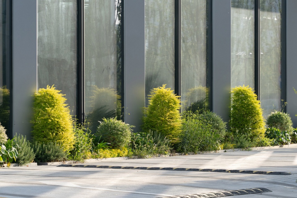 jiading yuanxiang lake central district landscape by weimar group
