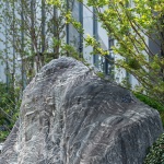 嘉定远香湖中央活力区商办景观，上海 / 魏玛设计