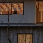 八雲の家，东京 / 小大建筑设计事务所 ＋ 磯田和明